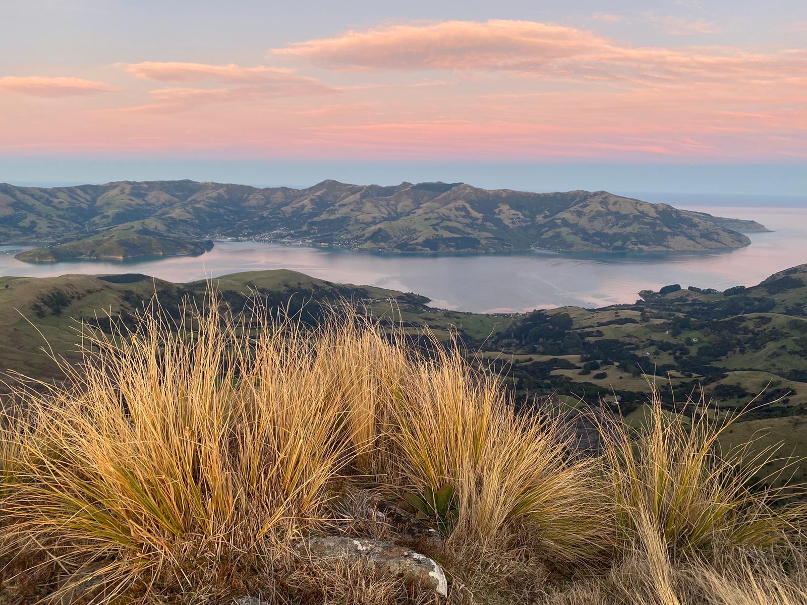 Photo: Saddle Hill looking down towards Akaroa (Karin Bos)