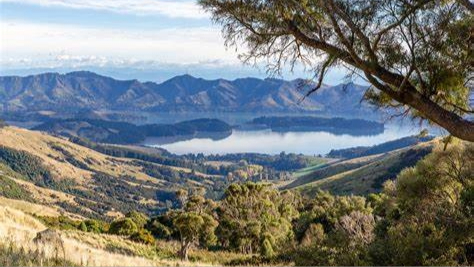 Building Biodiversity: New Pest Free Banks Peninsula Strategy 