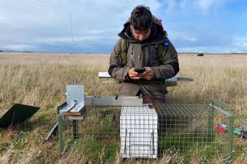 ITO pest training supports conservation efforts on Banks Peninsula